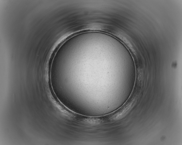 X0000097480939200802291355