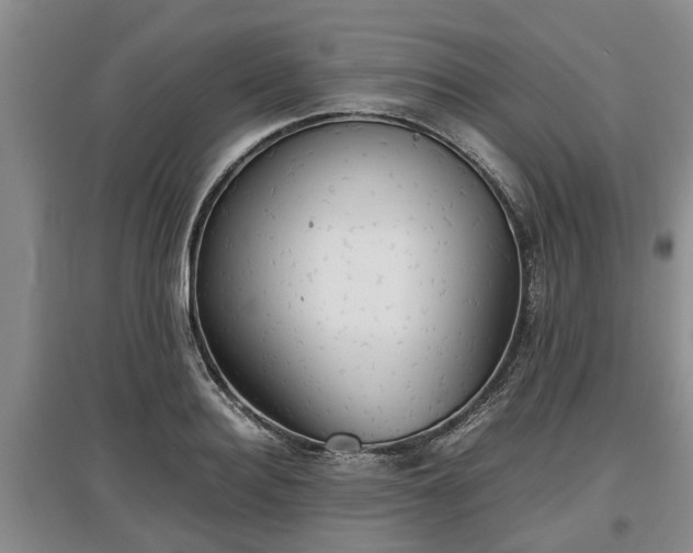 X0000097480940200802291355