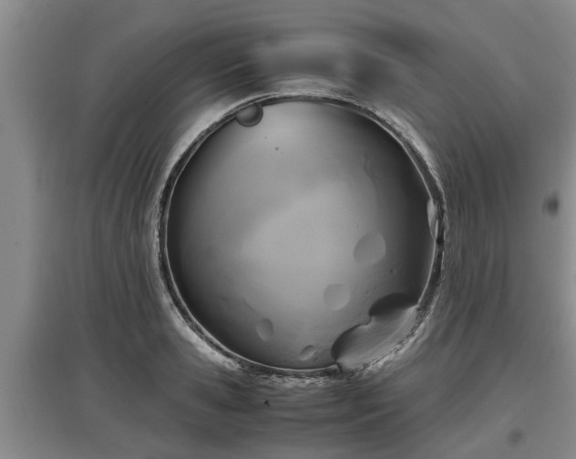 X0000097480941200802291355