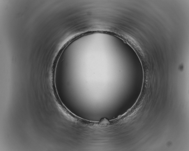 X0000097480942200802291355