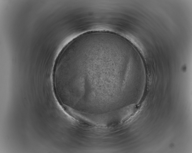 X0000097480943200802291355