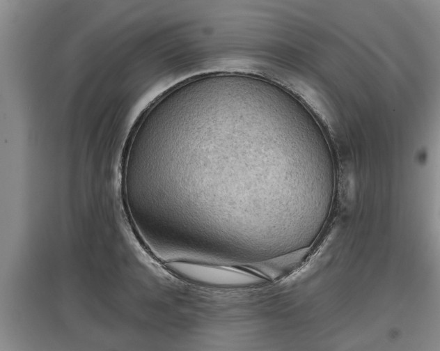 X0000097480944200802291355