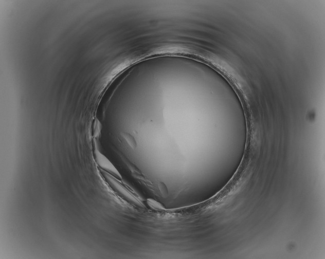 X0000097480945200802291355