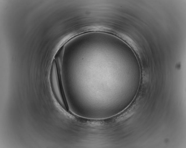 X0000097480946200802291355