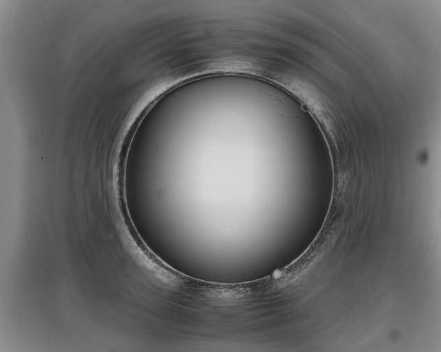 X0000097480947200802291355
