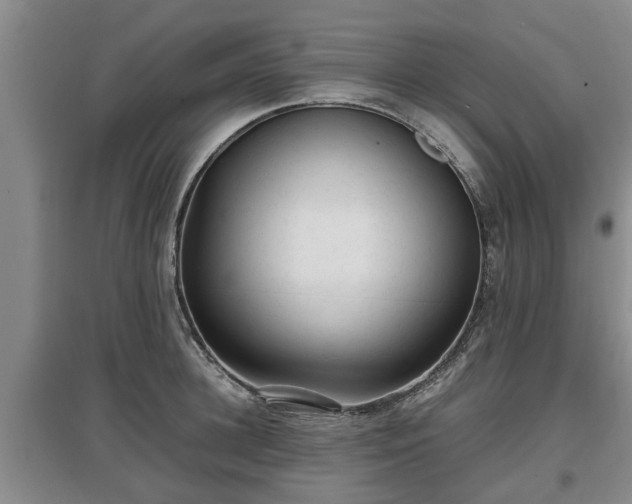 X0000097480948200802291355
