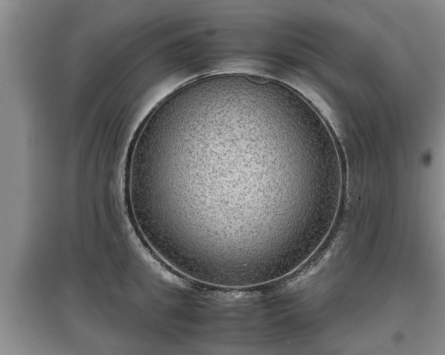 X0000097480949200802291355