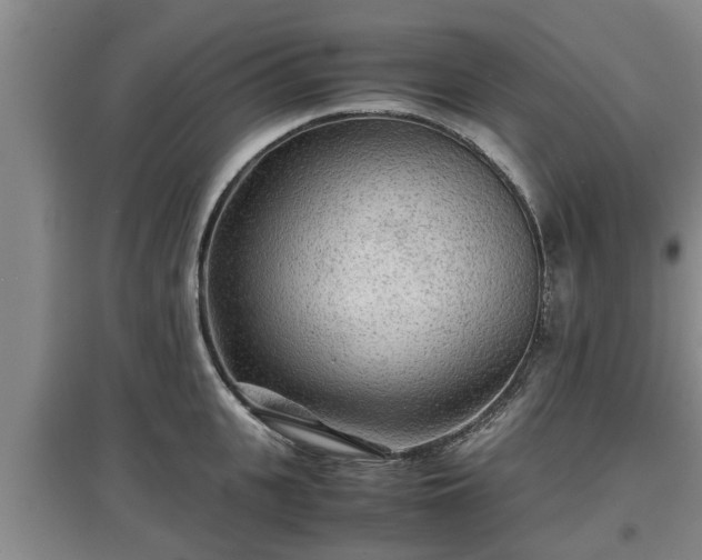 X0000097480951200802291355