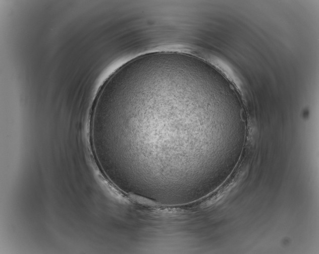 X0000097480952200802291355