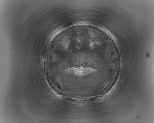 X0000097480953200802291355