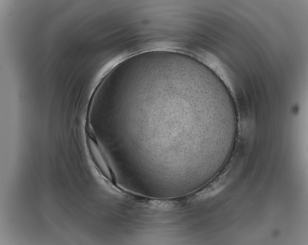 X0000097480954200802291355