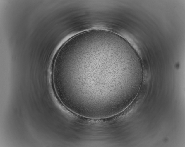 X0000097480955200802291355