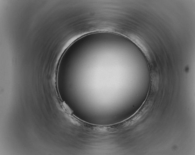 X0000097480956200802291355
