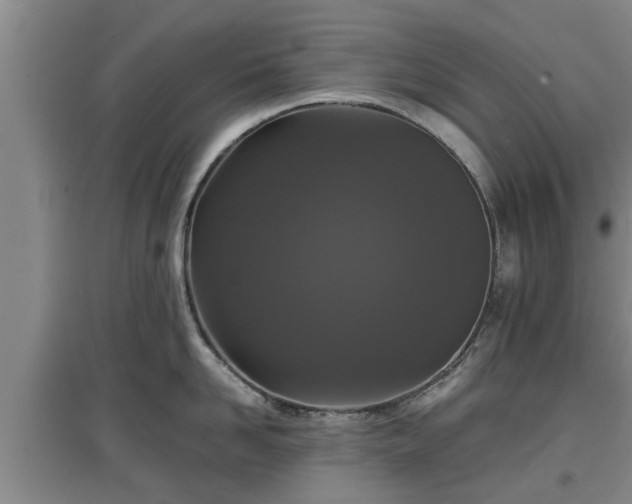 X0000097480958200802291355