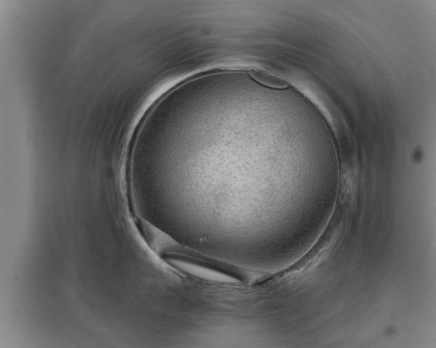 X0000097480959200802291355