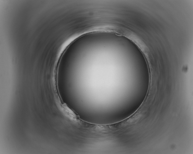 X0000097480960200802291355