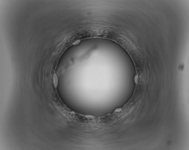 X0000097480961200802291354