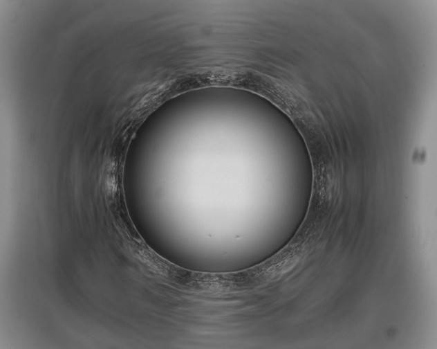 X0000097480962200802291354