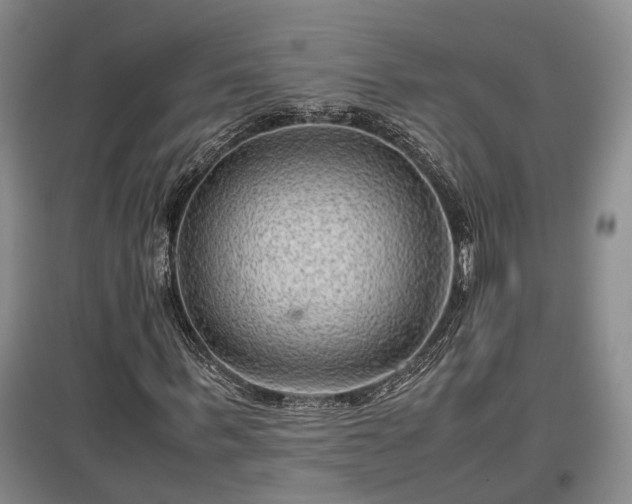 X0000097480963200802291354