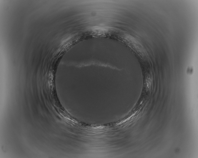 X0000097480964200802291354