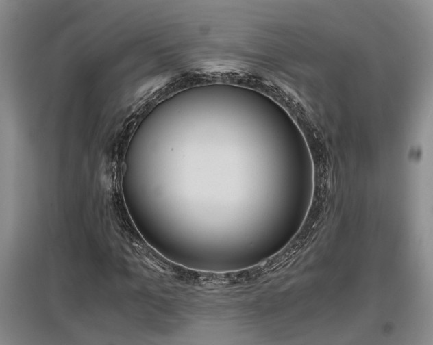 X0000097480965200802291354