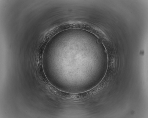 X0000097480966200802291354