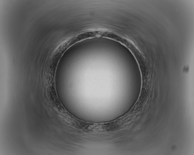 X0000097480967200802291354