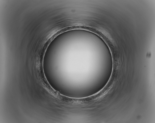 X0000097480969200802291354