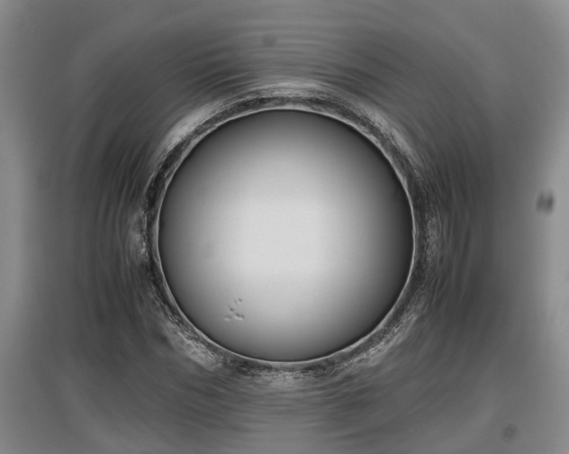X0000097480970200802291354