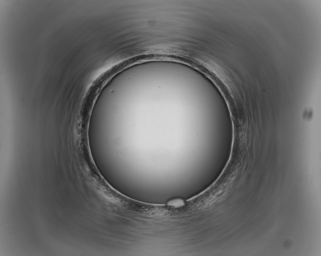 X0000097480971200802291354