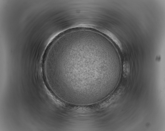 X0000097480972200802291354