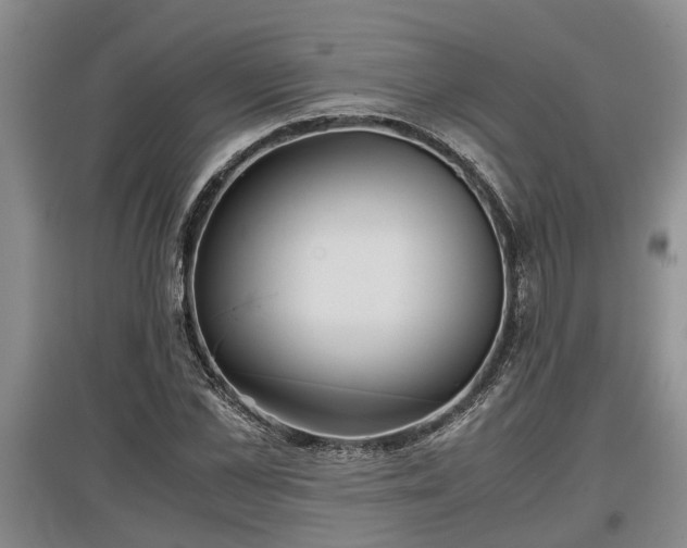 X0000097480973200802291354