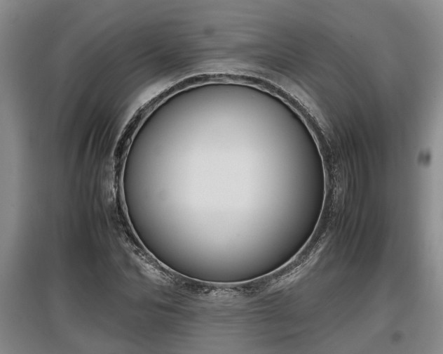 X0000097480974200802291354