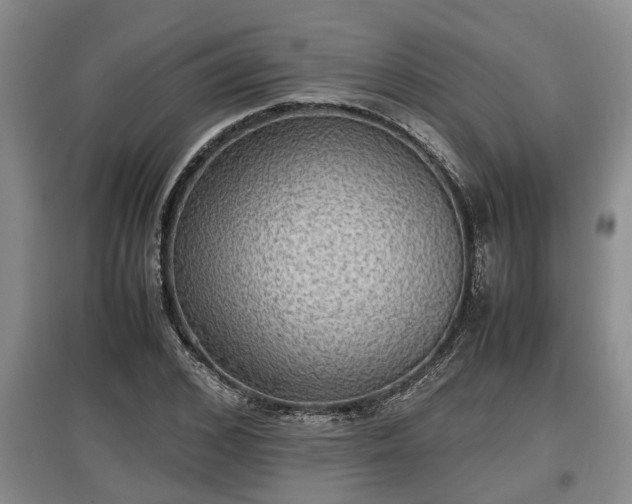 X0000097480976200802291354