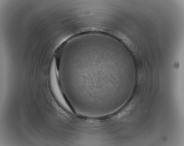 X0000097480977200802291354