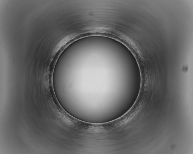 X0000097480978200802291354