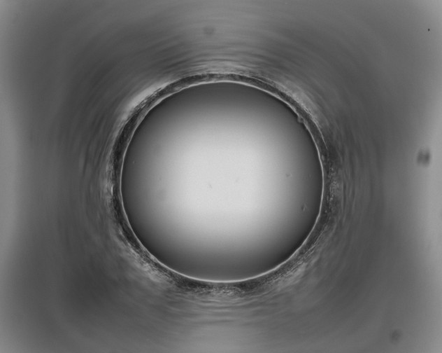 X0000097480979200802291354
