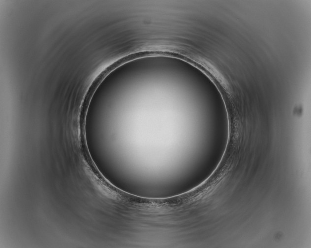 X0000097480980200802291354