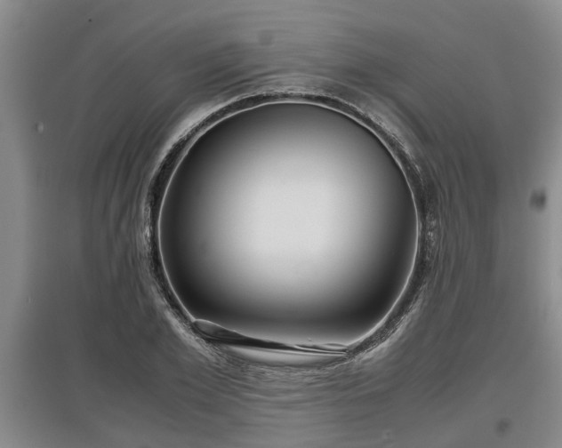 X0000097480981200802291354