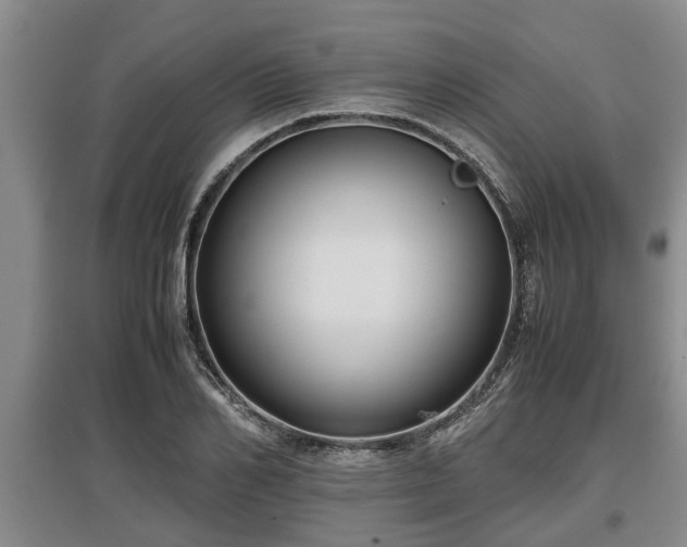 X0000097480982200802291354