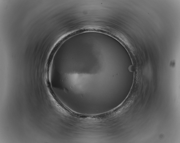 X0000097480984200802291354