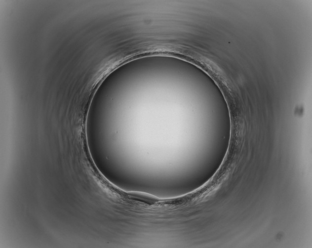 X0000097480985200802291354