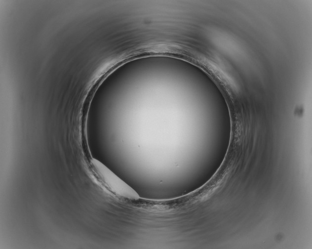 X0000097480986200802291354
