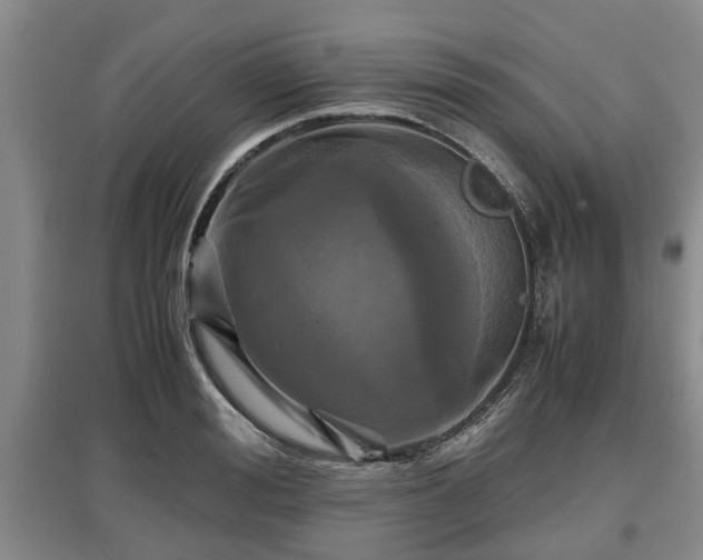 X0000097480988200802291354