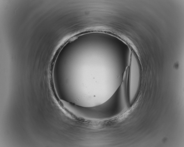 X0000097480989200802291354