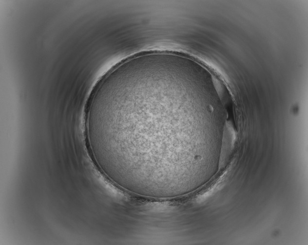 X0000097480990200802291354