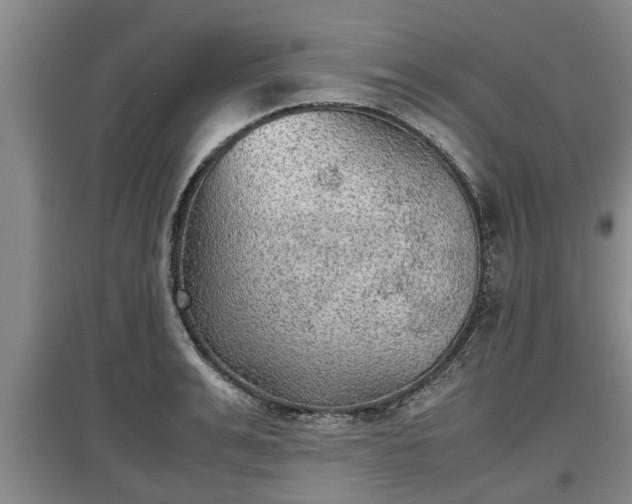 X0000097480991200802291354