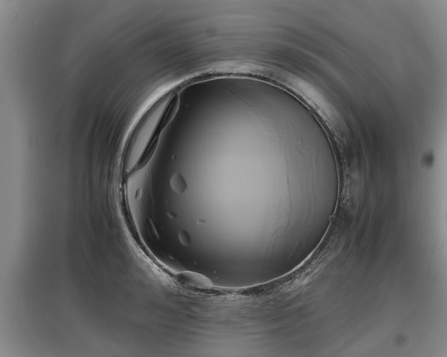 X0000097480992200802291354
