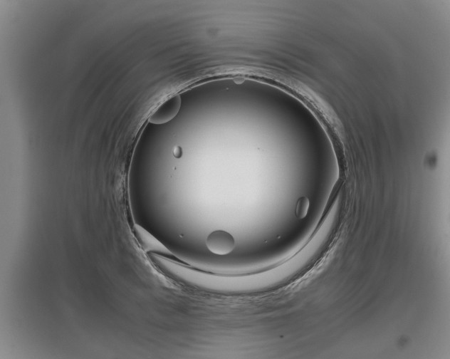 X0000097480993200802291354