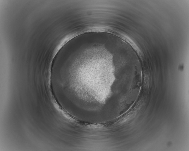 X0000097480994200802291354